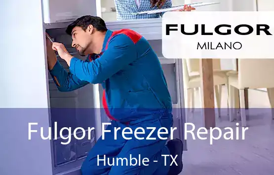  Fulgor Freezer Repair Humble - TX
