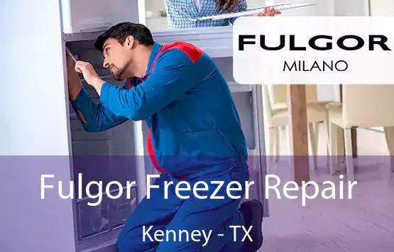  Fulgor Freezer Repair Kenney - TX