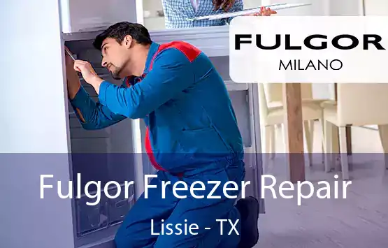  Fulgor Freezer Repair Lissie - TX