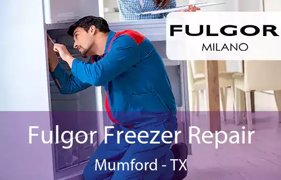  Fulgor Freezer Repair Mumford - TX