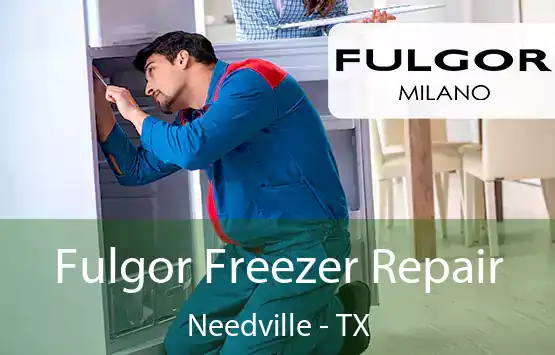  Fulgor Freezer Repair Needville - TX