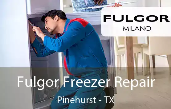  Fulgor Freezer Repair Pinehurst - TX