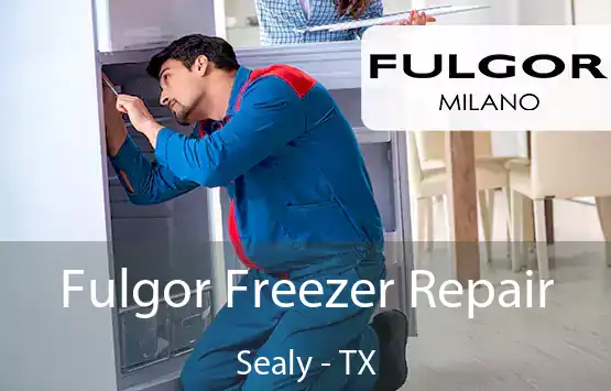  Fulgor Freezer Repair Sealy - TX