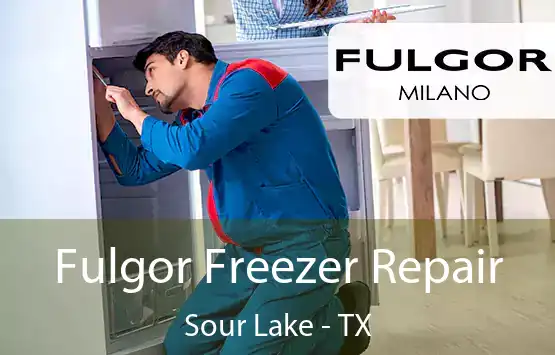  Fulgor Freezer Repair Sour Lake - TX