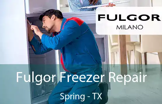  Fulgor Freezer Repair Spring - TX