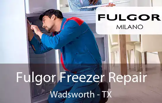  Fulgor Freezer Repair Wadsworth - TX