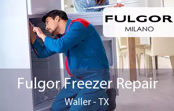  Fulgor Freezer Repair Waller - TX