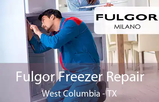  Fulgor Freezer Repair West Columbia - TX