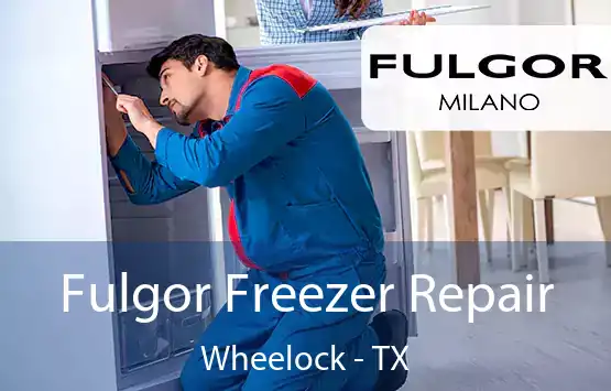  Fulgor Freezer Repair Wheelock - TX
