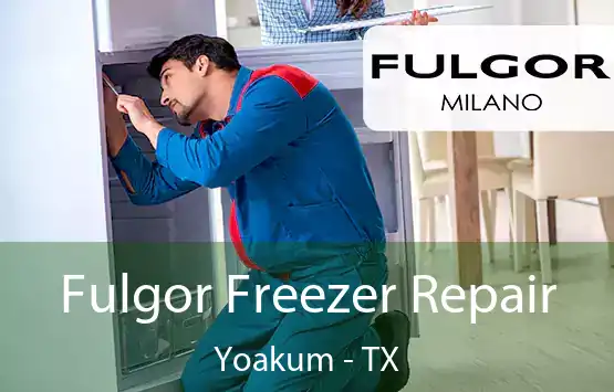  Fulgor Freezer Repair Yoakum - TX