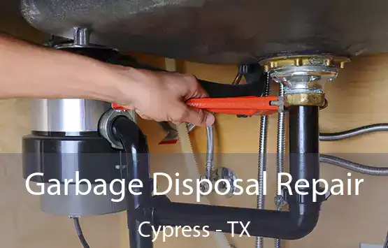  Garbage Disposal Repair Cypress - TX