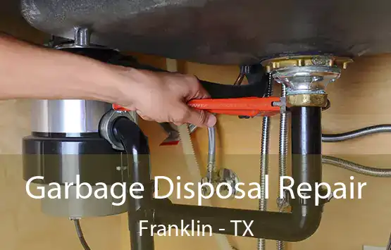  Garbage Disposal Repair Franklin - TX