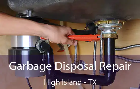  Garbage Disposal Repair High Island - TX