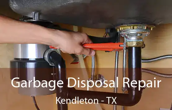  Garbage Disposal Repair Kendleton - TX