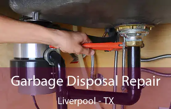  Garbage Disposal Repair Liverpool - TX