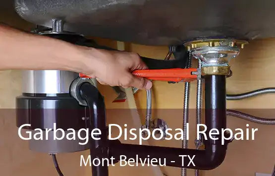  Garbage Disposal Repair Mont Belvieu - TX