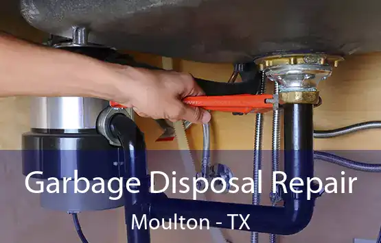  Garbage Disposal Repair Moulton - TX