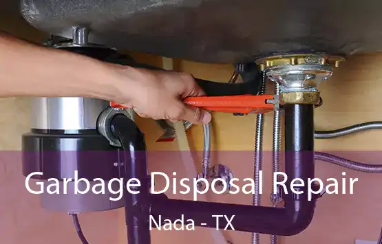  Garbage Disposal Repair Nada - TX