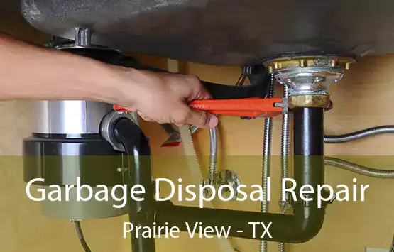  Garbage Disposal Repair Prairie View - TX
