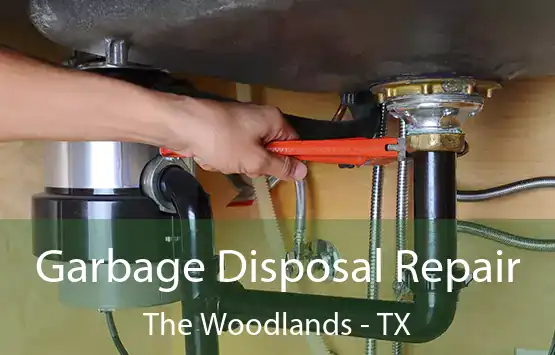  Garbage Disposal Repair The Woodlands - TX