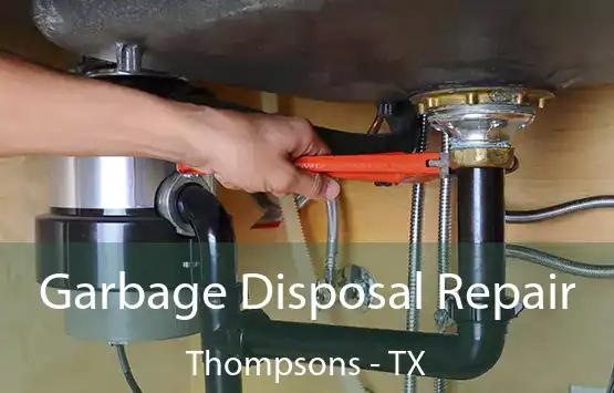  Garbage Disposal Repair Thompsons - TX