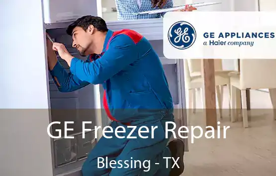  GE Freezer Repair Blessing - TX