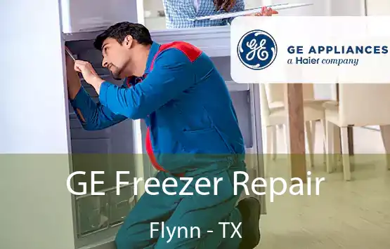  GE Freezer Repair Flynn - TX