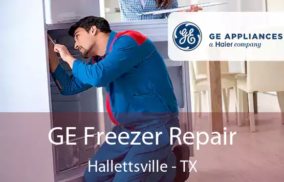  GE Freezer Repair Hallettsville - TX