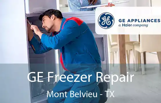  GE Freezer Repair Mont Belvieu - TX