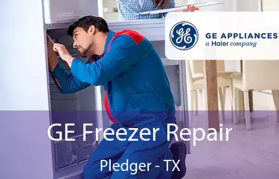  GE Freezer Repair Pledger - TX