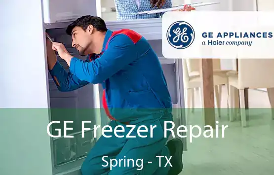  GE Freezer Repair Spring - TX