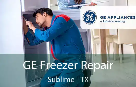  GE Freezer Repair Sublime - TX