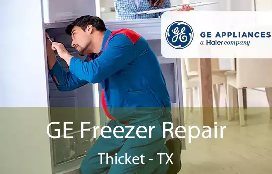  GE Freezer Repair Thicket - TX