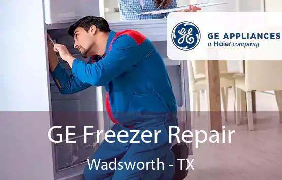  GE Freezer Repair Wadsworth - TX