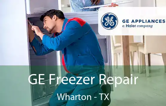  GE Freezer Repair Wharton - TX