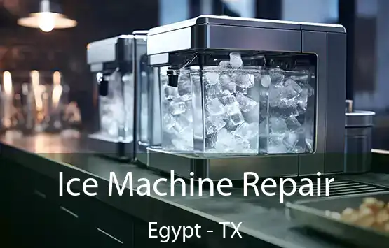  Ice Machine Repair Egypt - TX