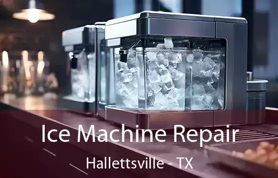  Ice Machine Repair Hallettsville - TX