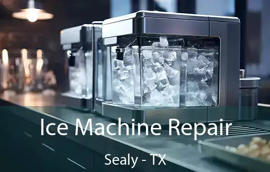  Ice Machine Repair Sealy - TX