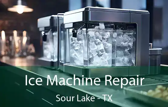  Ice Machine Repair Sour Lake - TX