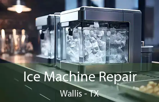  Ice Machine Repair Wallis - TX
