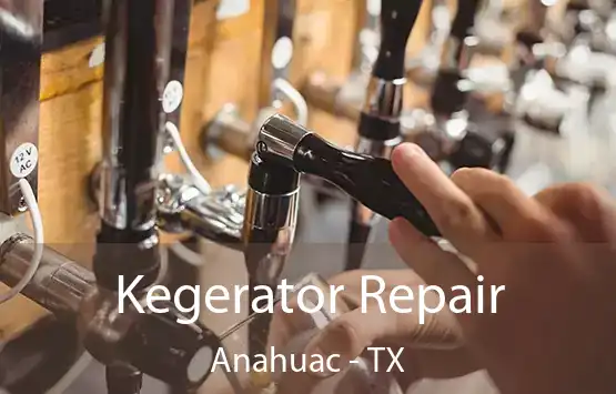  Kegerator Repair Anahuac - TX