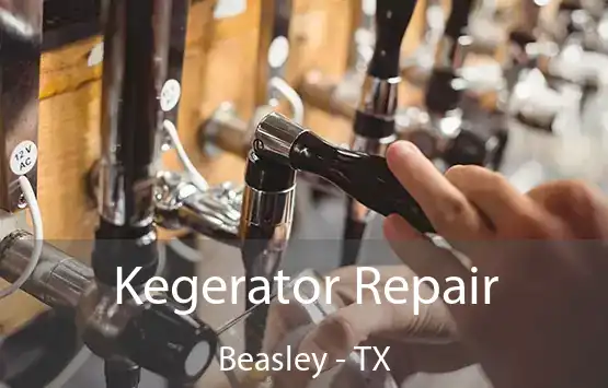  Kegerator Repair Beasley - TX