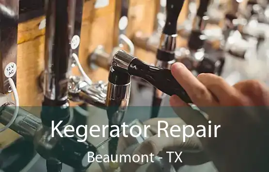  Kegerator Repair Beaumont - TX