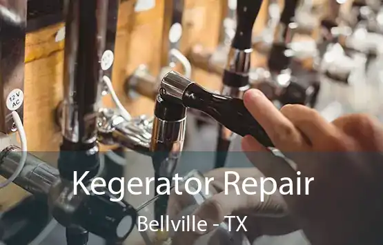  Kegerator Repair Bellville - TX