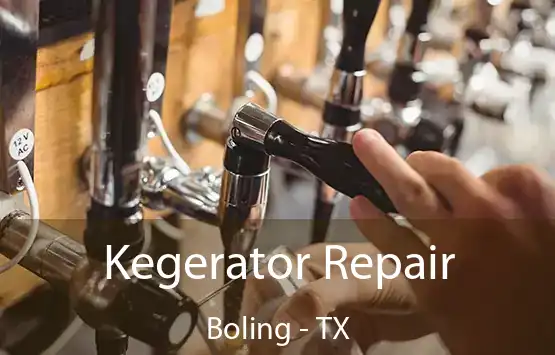  Kegerator Repair Boling - TX