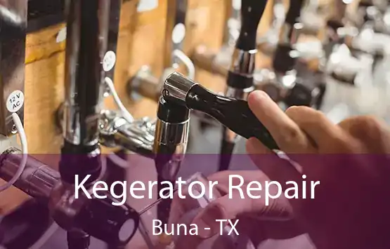  Kegerator Repair Buna - TX