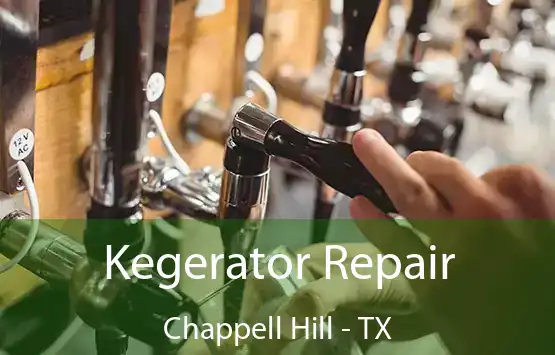  Kegerator Repair Chappell Hill - TX