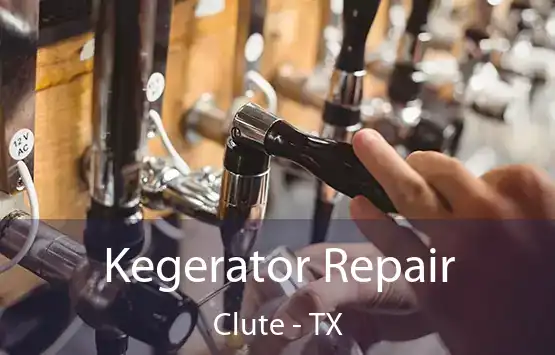  Kegerator Repair Clute - TX