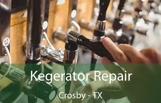  Kegerator Repair Crosby - TX