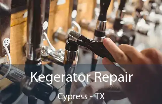  Kegerator Repair Cypress - TX